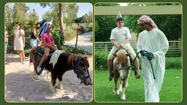 Pony Rent Pony ride rentals for Birthday Party Dubai | Pony Rides UAE - Rentcrown